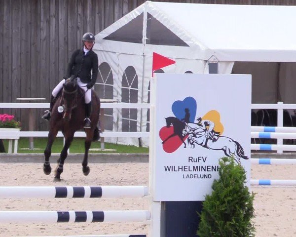 Reitturnier Ladelunder Springtage 2024