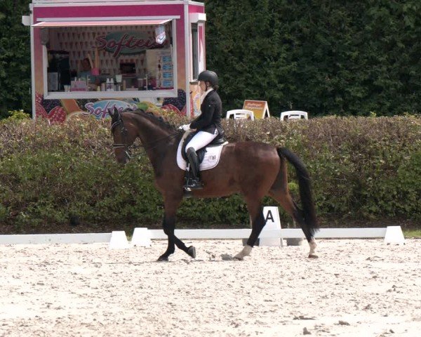 Reitturnier Vlotho-Exter 2024