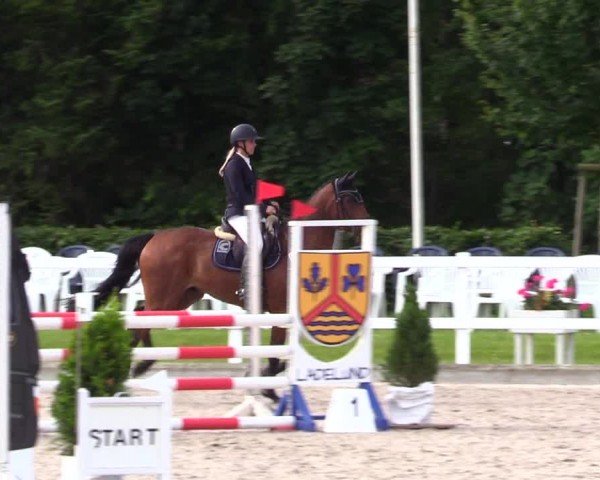Reitturnier Ladelunder Springtage 2024
