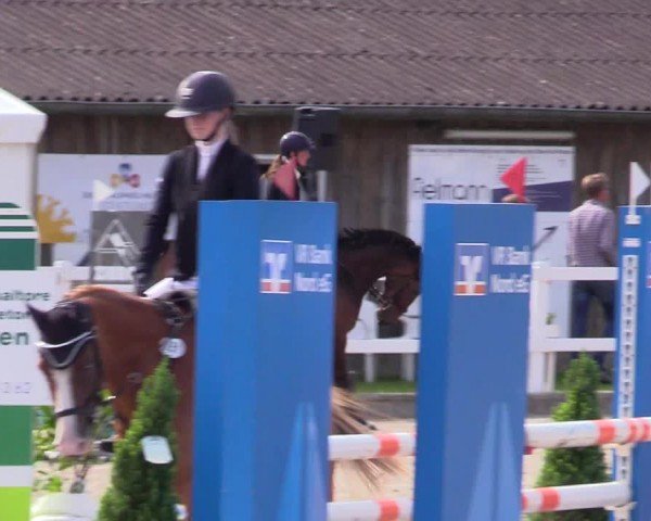 Reitturnier Ladelunder Springtage 2024