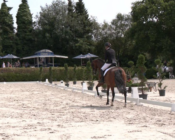 Reitturnier Vlotho-Exter 2024