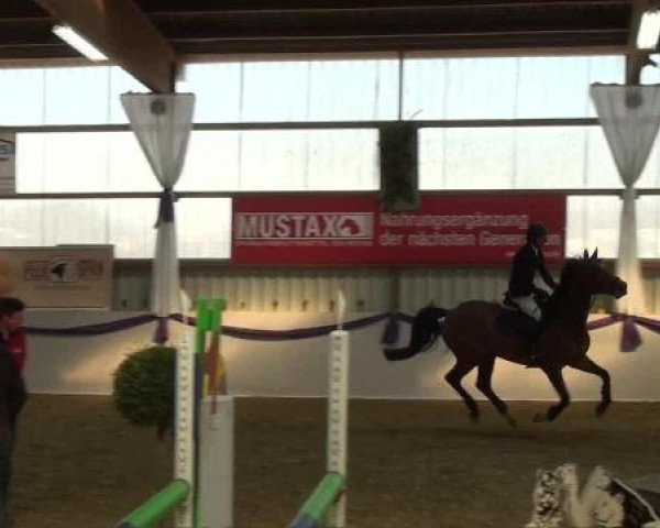 Hallen-Dressur- und Spring-Late-Entry im Reitsportzentrum Gerd Könemann 2013