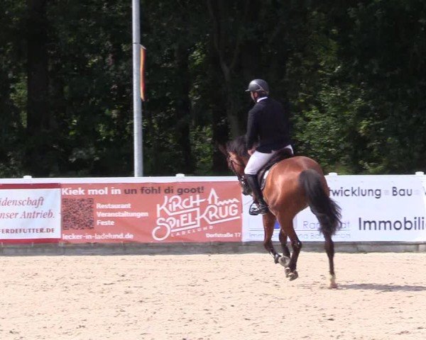 Reitturnier Ladelunder Springtage 2024
