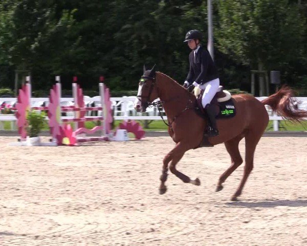 Reitturnier Ladelunder Springtage 2024