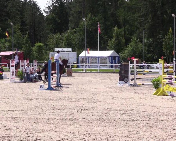 Reitturnier Ladelunder Springtage 2024