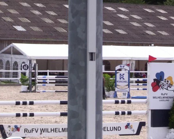 Reitturnier Ladelunder Springtage 2024
