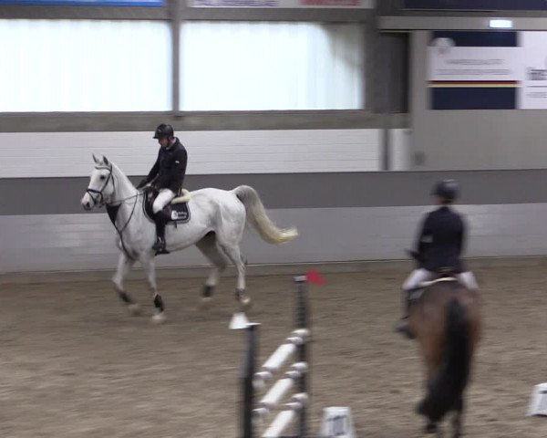 Reitturnier Luhmühlen 2021