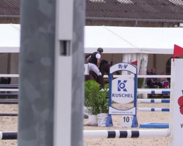 Reitturnier Ladelunder Springtage 2024