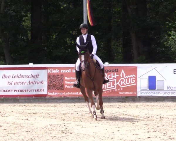 Reitturnier Ladelunder Springtage 2024