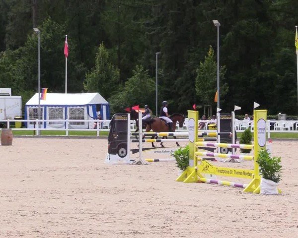Reitturnier Ladelunder Springtage 2024