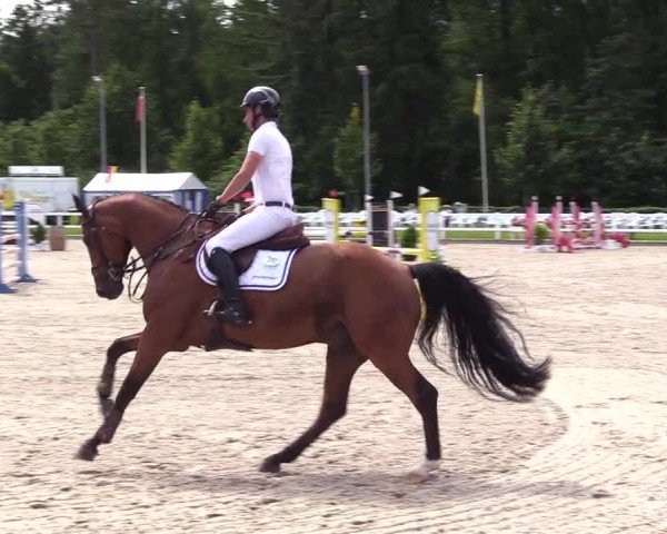 Reitturnier Ladelunder Springtage 2024