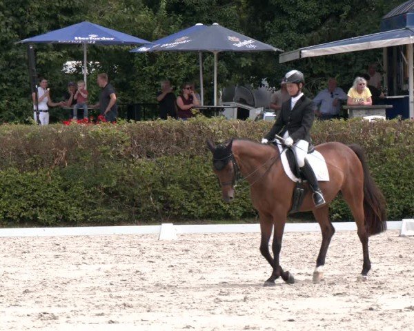 Reitturnier Vlotho-Exter 2024