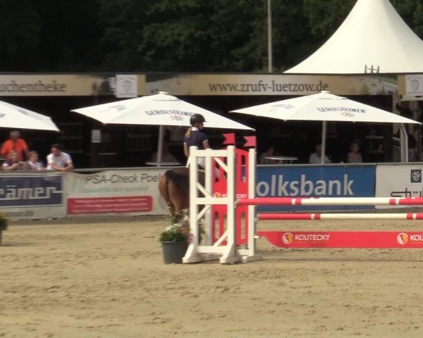 Reitturnier Olfen-Vinnum 2024