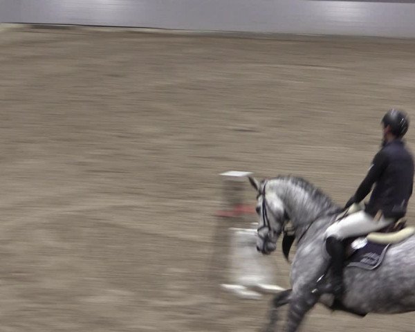 Reitturnier Luhmühlen 2021