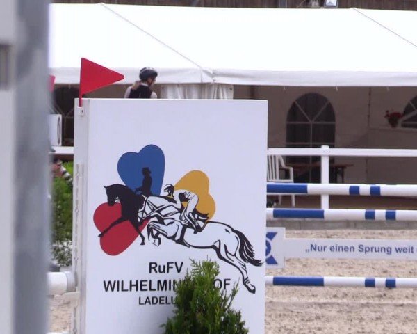 Reitturnier Ladelunder Springtage 2024