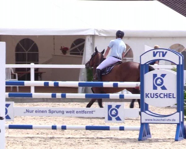 Reitturnier Ladelunder Springtage 2024