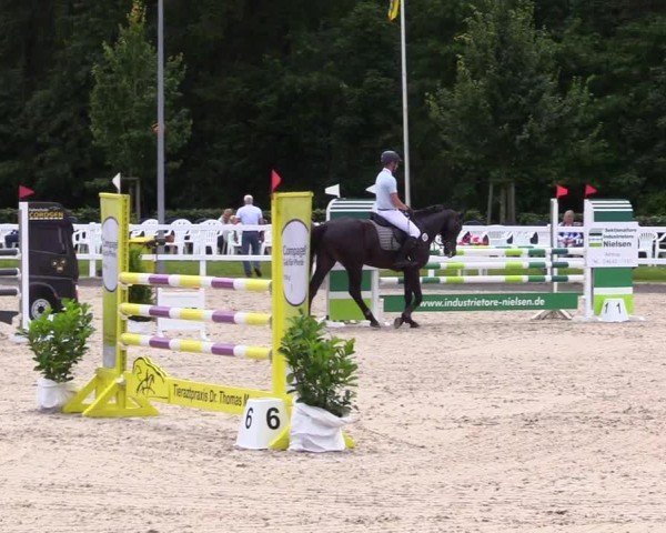 Reitturnier Ladelunder Springtage 2024