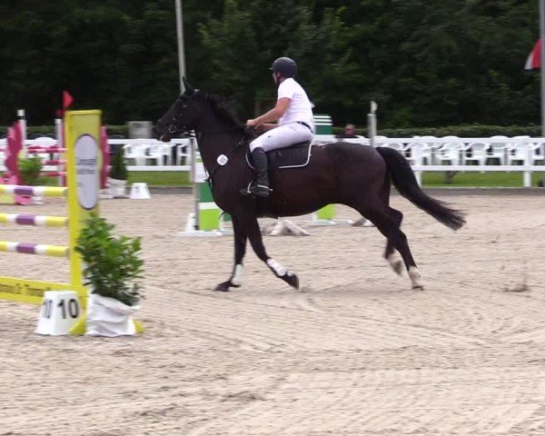 Reitturnier Ladelunder Springtage 2024