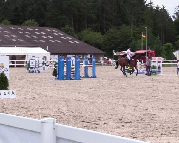 Reitturnier Ladelunder Springtage 2024