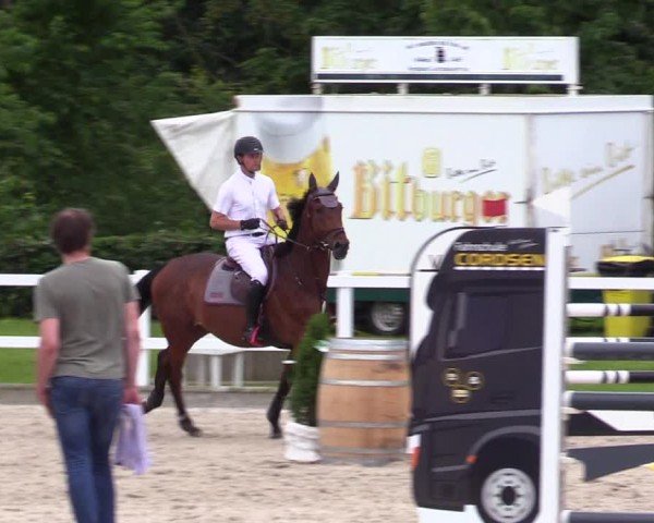 Reitturnier Ladelunder Springtage 2024