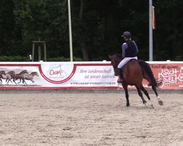 Reitturnier Ladelunder Springtage 2024