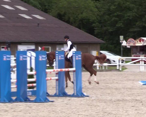 Reitturnier Ladelunder Springtage 2024