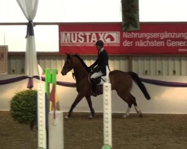 Hallen-Dressur- und Spring-Late-Entry im Reitsportzentrum Gerd Könemann 2013