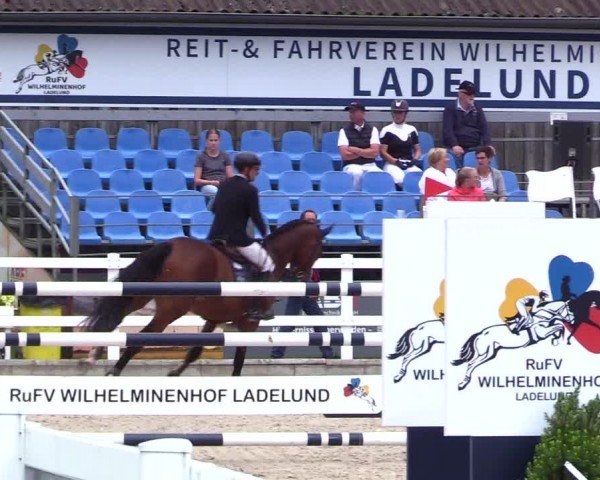 Reitturnier Ladelunder Springtage 2024