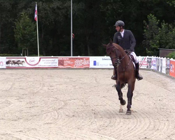Reitturnier Ladelunder Springtage 2024