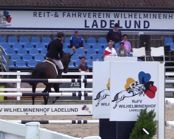 Reitturnier Ladelunder Springtage 2024