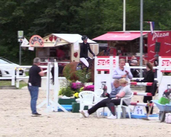 Reitturnier Ladelunder Springtage 2024