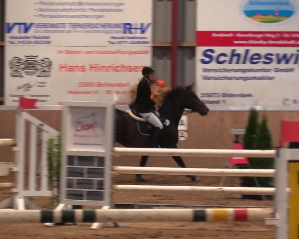 Reitturnier Behrendorf 2021