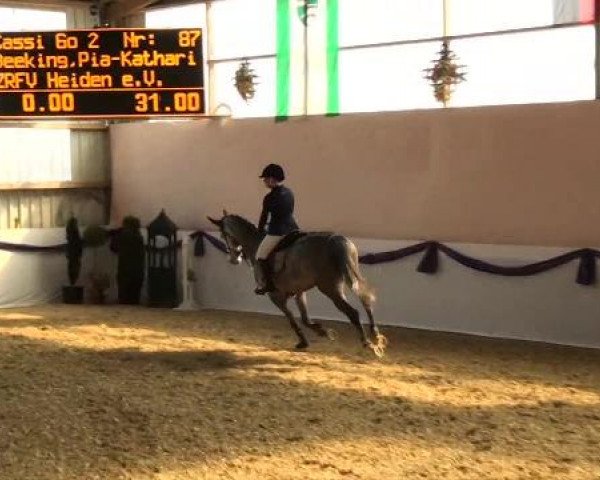 Hallen-Dressur- und Spring-Late-Entry im Reitsportzentrum Gerd Könemann 2013