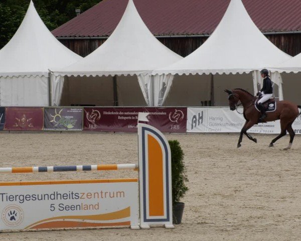 Reitturnier Karlsfeld/Obb. 2024
