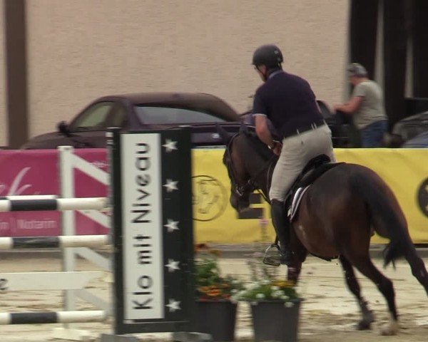 Reitturnier Olfen-Vinnum 2024