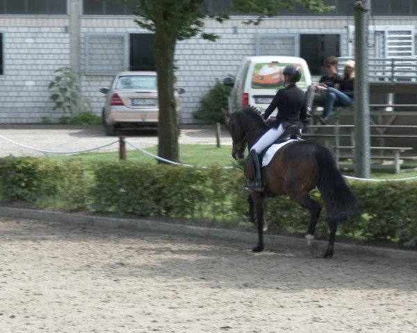 Reitturnier Olfen-Vinnum 2024
