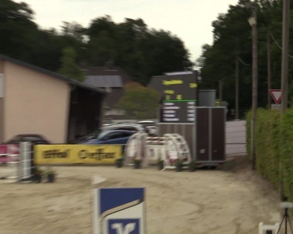 Reitturnier Olfen-Vinnum 2024