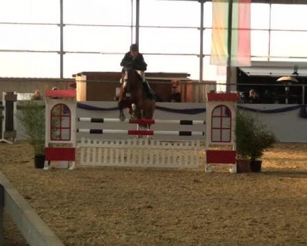 Hallen-Dressur- und Spring-Late-Entry im Reitsportzentrum Gerd Könemann 2013