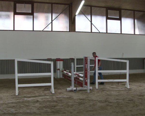 Westfälische Stutenleistungsprüfung Münster-Handorf 2024