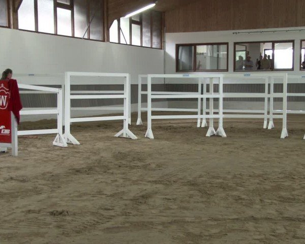 Westfälische Stutenleistungsprüfung Münster-Handorf 2024