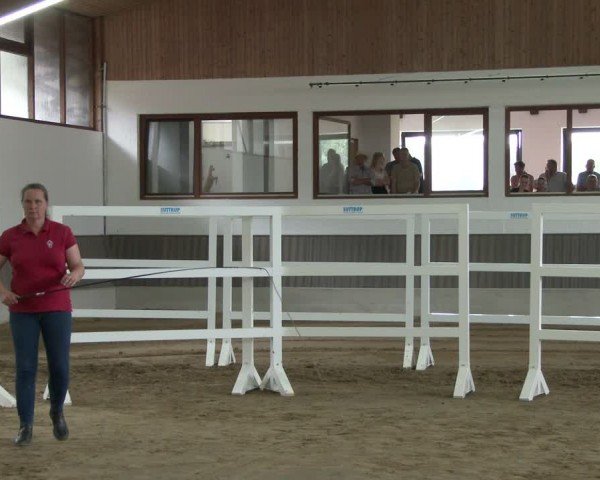 Westfälische Stutenleistungsprüfung Münster-Handorf 2024
