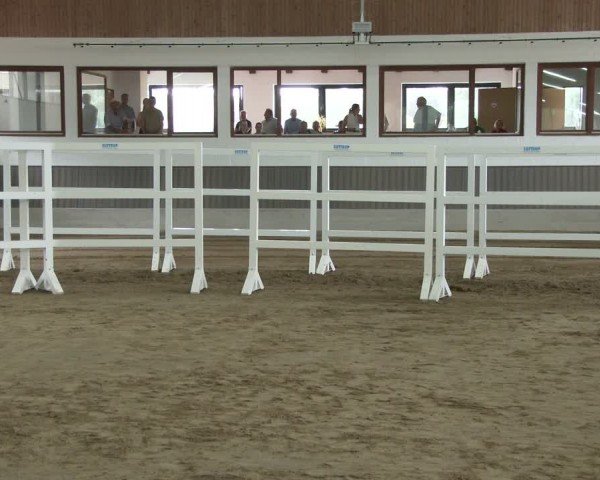 Westfälische Stutenleistungsprüfung Münster-Handorf 2024