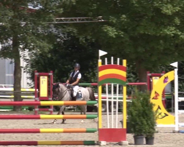 Reitturnier Rot am See Musdorf 2024