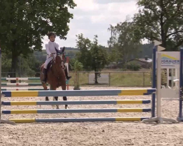 Reitturnier Rot am See Musdorf 2024