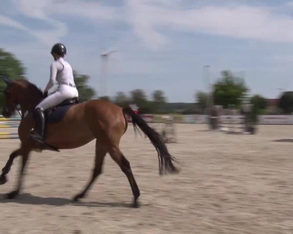 Reitturnier Rot am See Musdorf 2024
