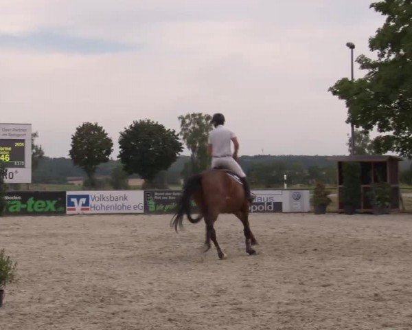 Reitturnier Rot am See Musdorf 2024