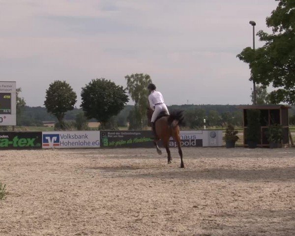 Reitturnier Rot am See Musdorf 2024