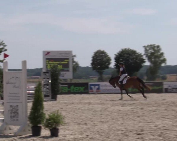 Reitturnier Rot am See Musdorf 2024