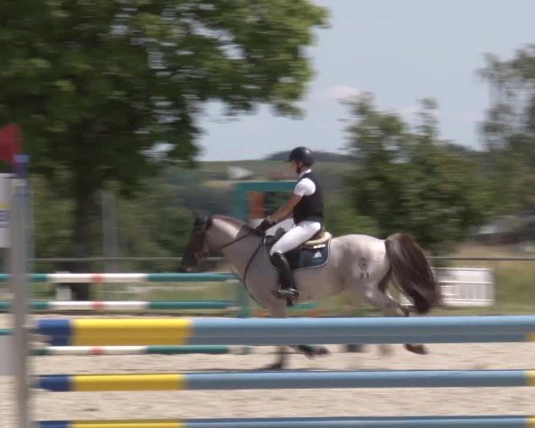 Reitturnier Rot am See Musdorf 2024