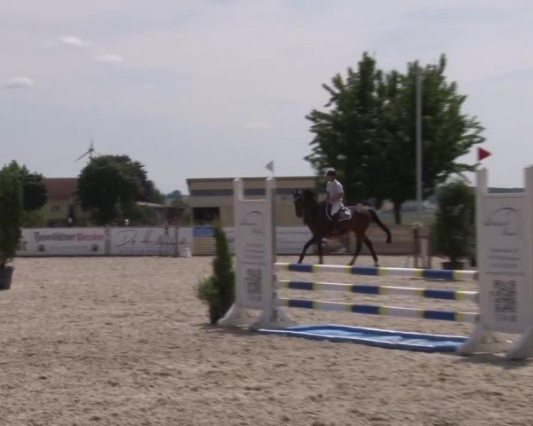 Reitturnier Rot am See Musdorf 2024